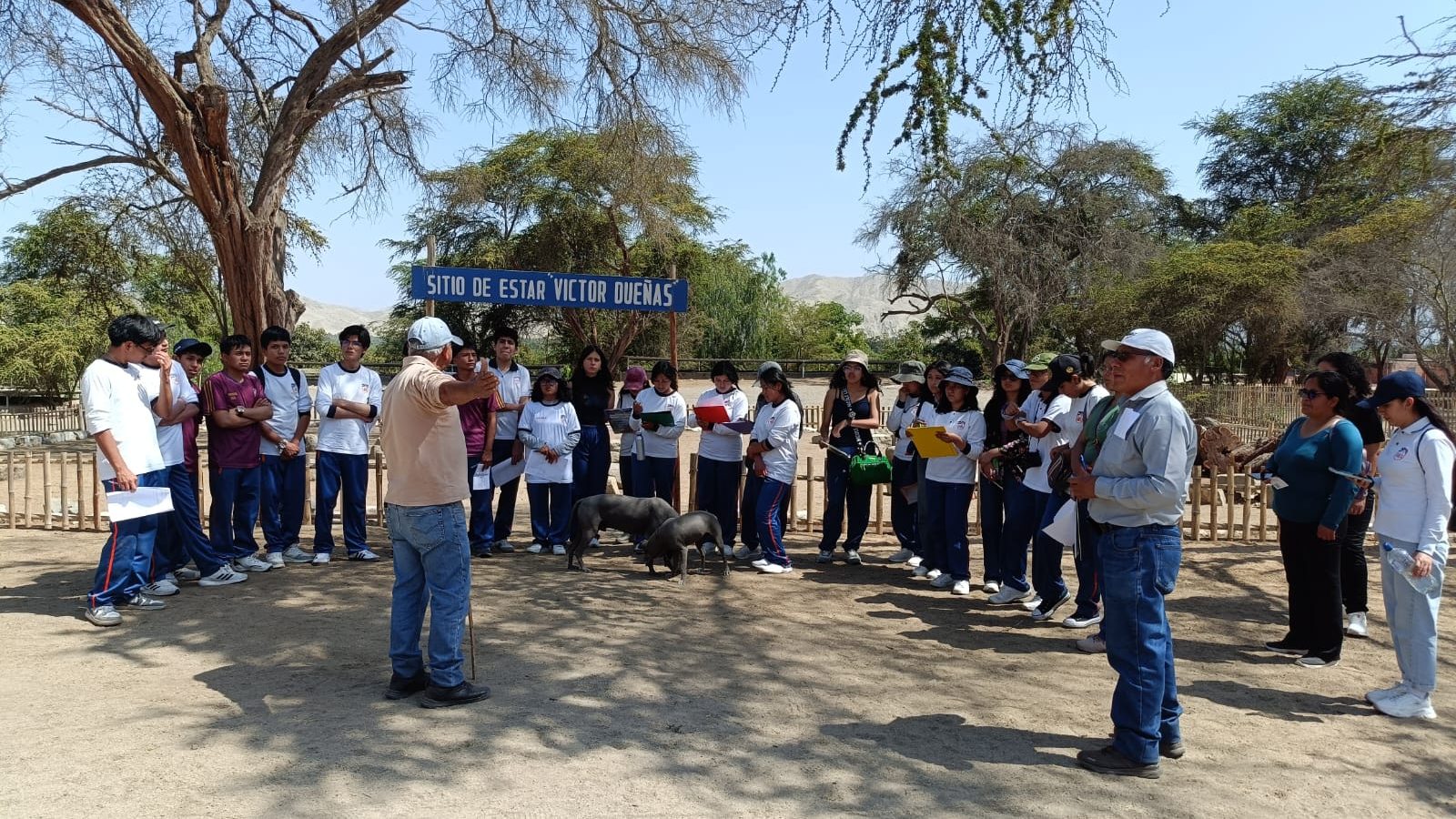 WhatsApp Image 2025-11-14 at 1.55.30 PM